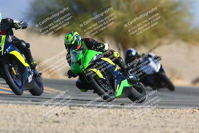 media/Jan-14-2024-SoCal Trackdays (Sun) [[2e55ec21a6]]/Turn 4 Tree of Life (155pm)/